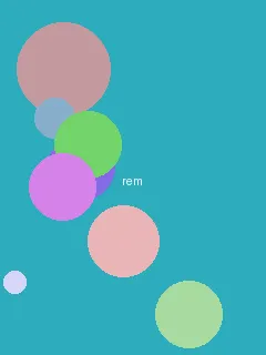 越南打野sofm - 蕾姆角色图